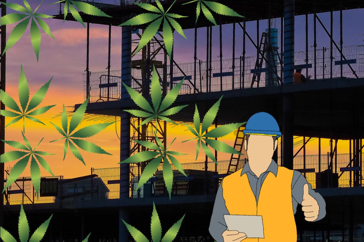 Les usines de cannabis s’implantent au Québec