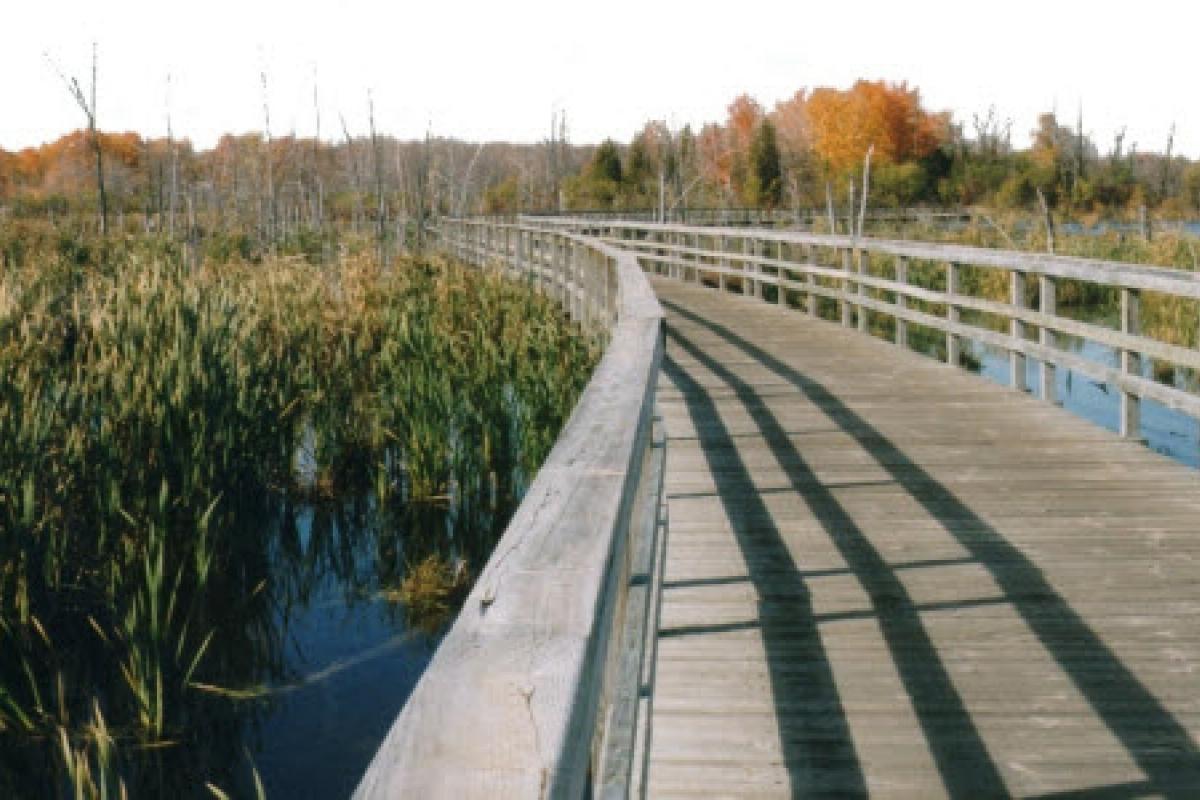 Passerelle au parc-nature du Bois-de-l'Île-Bizard