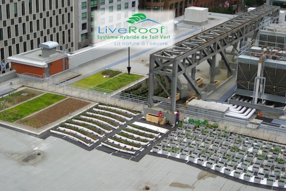 LiveRoof est l’une des technologies utilisées dans le cadre de Culti-Vert