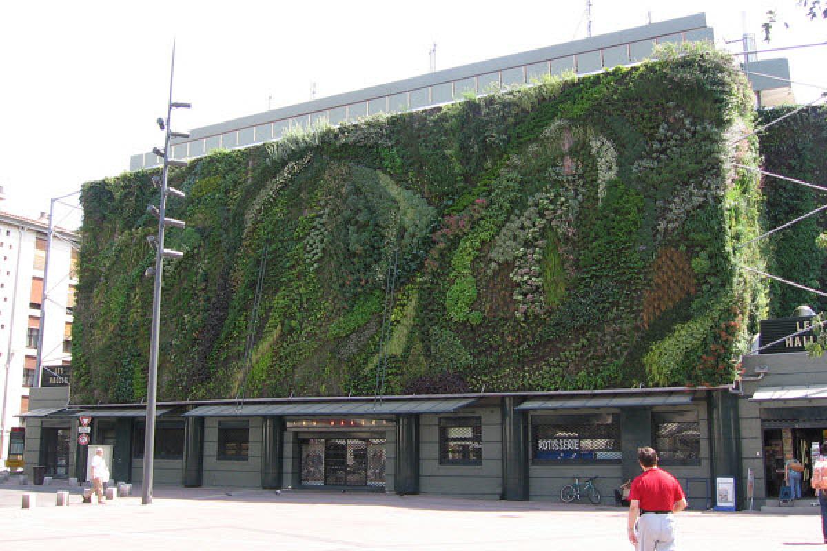 Un mur végétal à l’UQAM ?