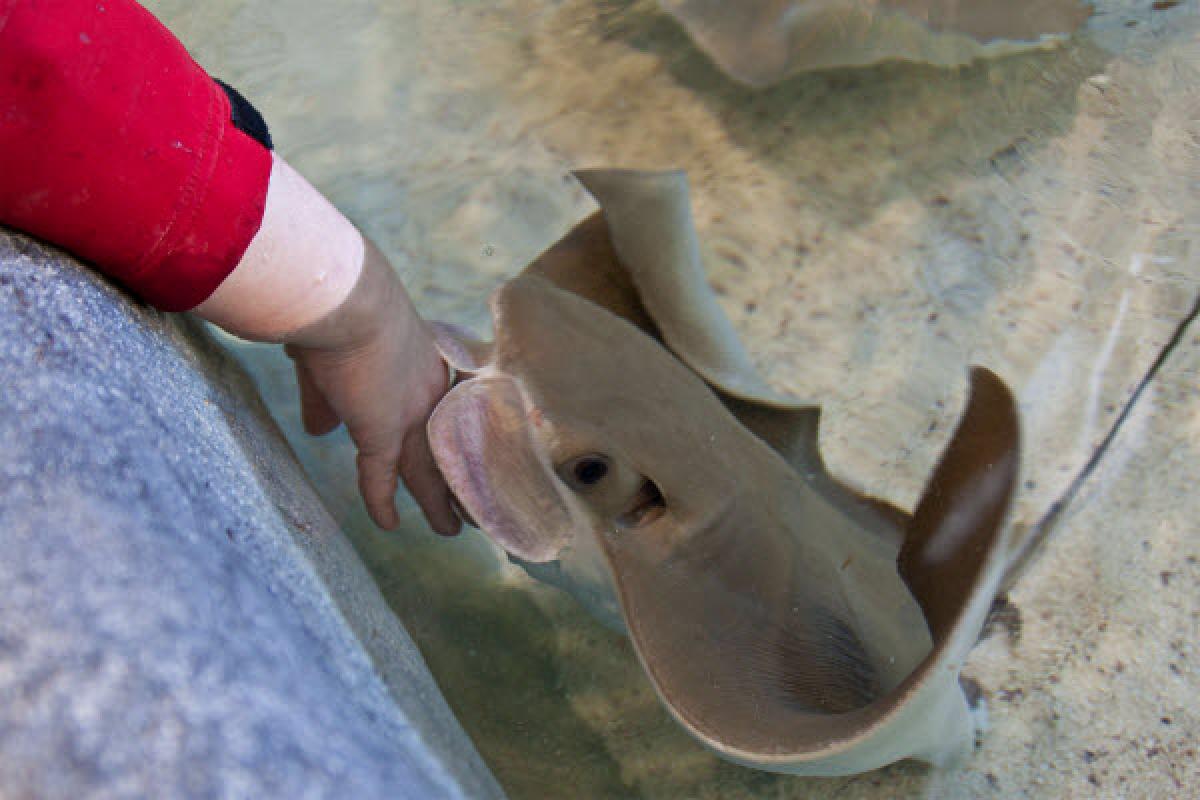 Le nouveau pavillon de l'Aquarium du Québec inauguré