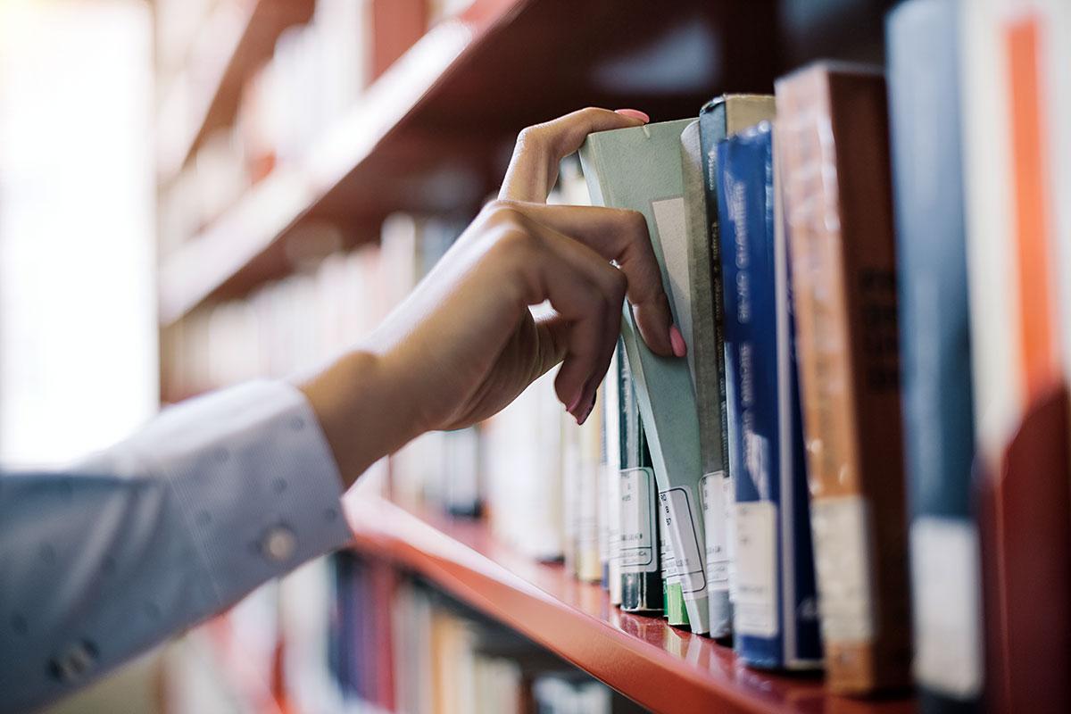 De grands chantiers en vue pour les bibliothèques de Terrebonne