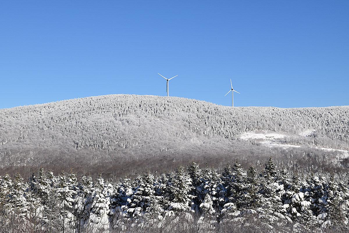 Développement éolien au Saguenay–Lac-Saint-Jean : des investissements pouvant atteindre 3 G$