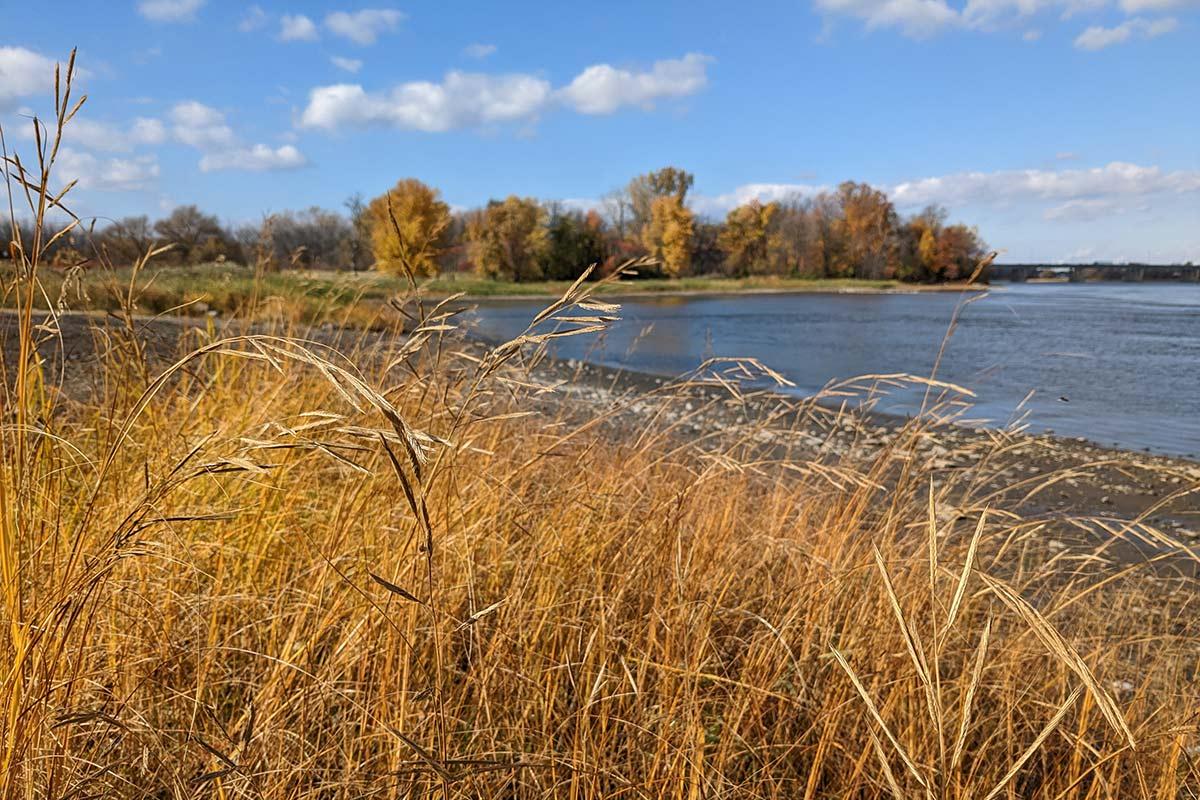 La Ville de Montréal a annoncé la création du Grand parc de l'Est. Crédit : Ville de Montréal