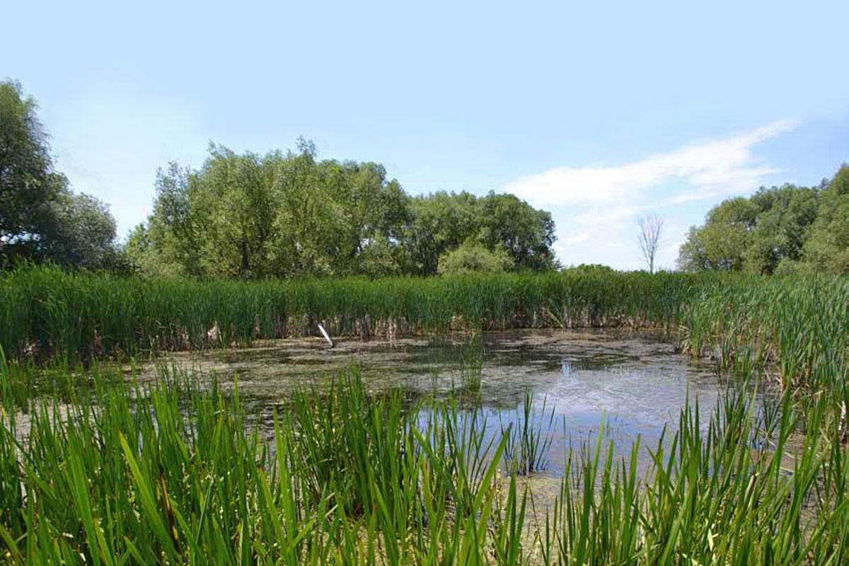 Montréal : un pas de plus vers la création du Grand parc de l’Ouest. Crédit : Ville de Montréal