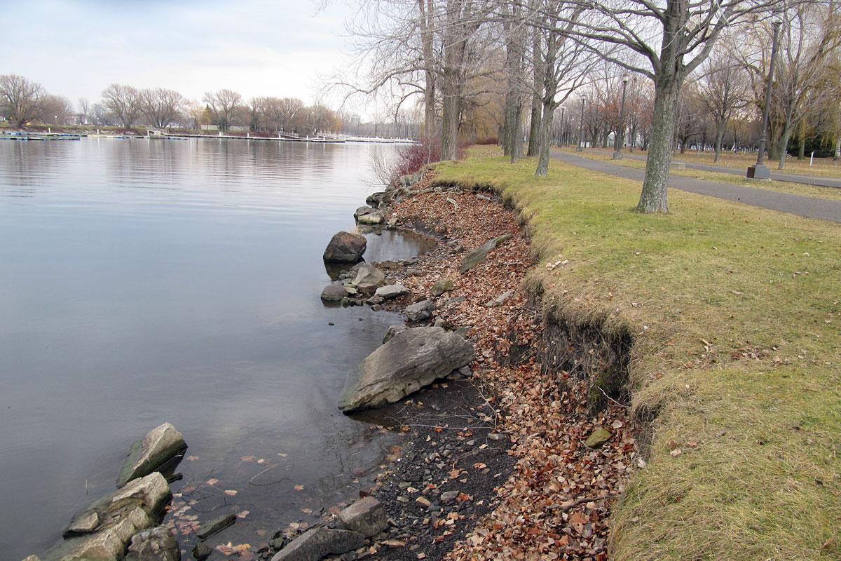 La réhabilitation des berges des grands parcs de l’ile de Montréal soutenue par Ottawa et la Ville. Crédit : Ville de Montréal 