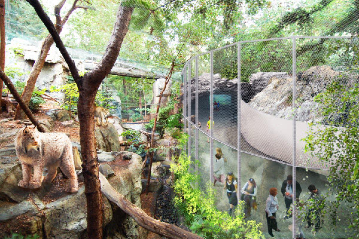 Travaux de réaménagement au Biodôme