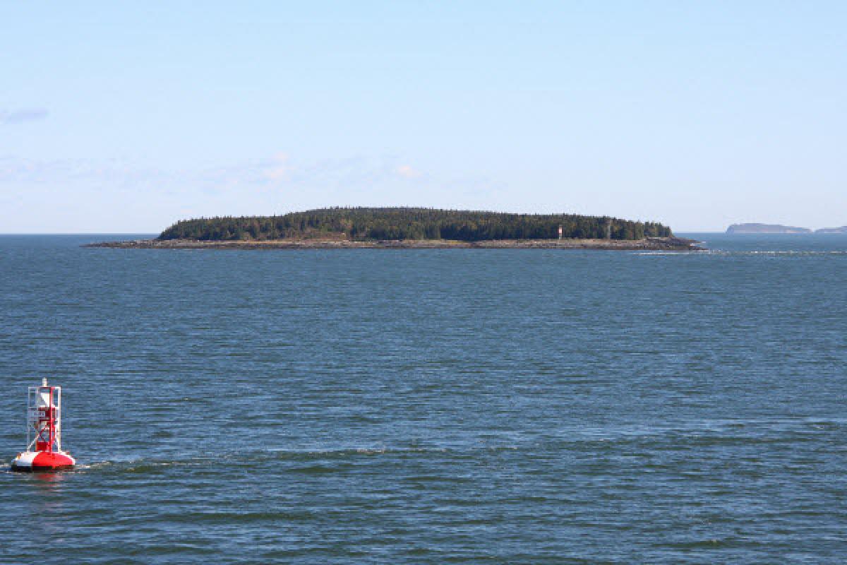 Revitalisation du parc maritime de la Pointe de Rivière-du-Loup