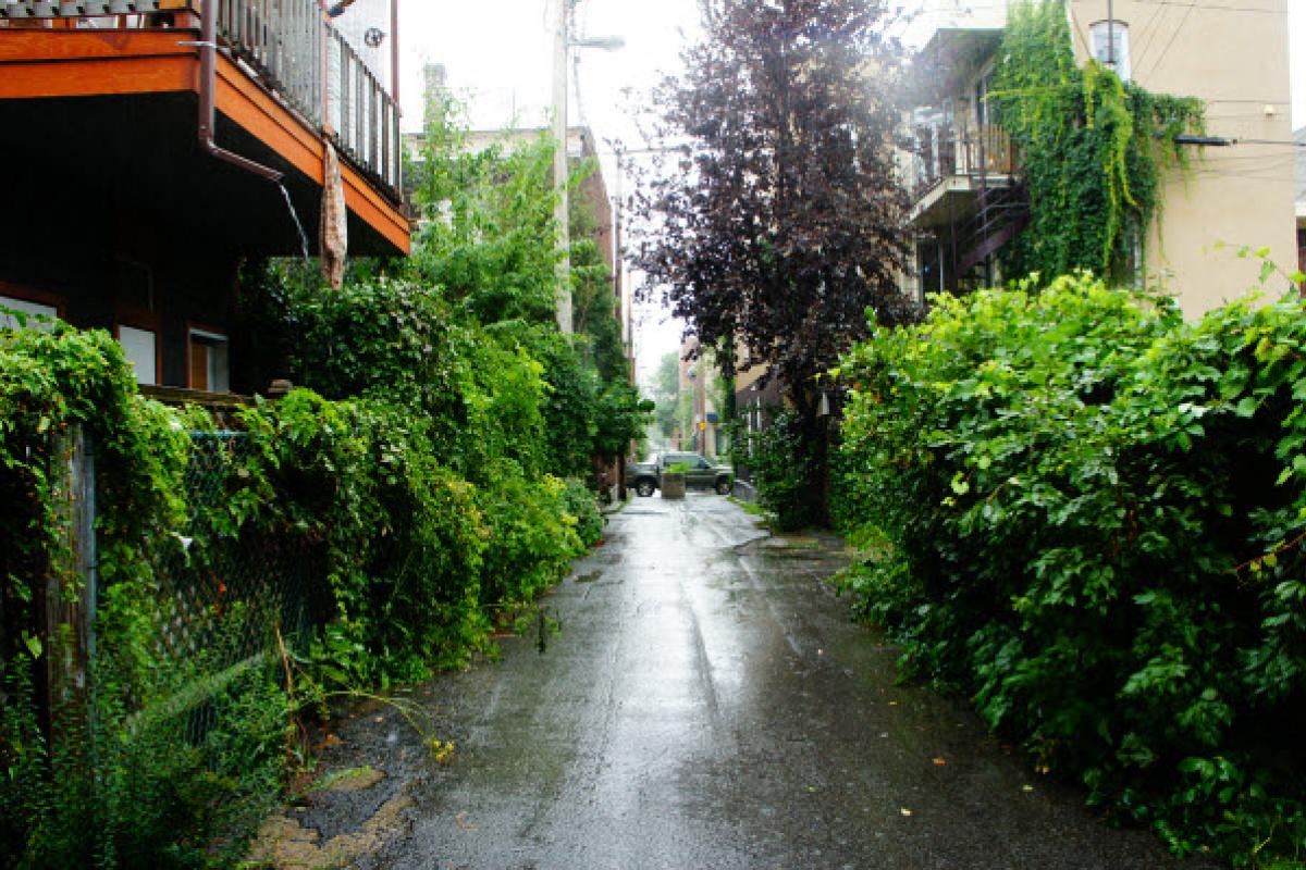 Inauguration des nouvelles ruelles vertes du Plateau-Mont-Royal