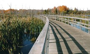 Passerelle au parc-nature du Bois-de-l'Île-Bizard