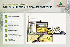 Fonctionnement général d’une chaufferie à la biomasse forestière.