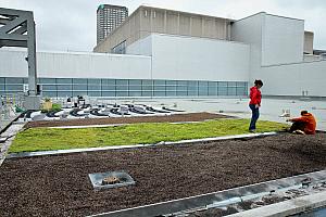 Culti-vert Palais des congrès de Montréal