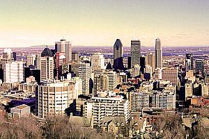 Suivi des soirées Demain Montréal et du Plan de développement de Montréal