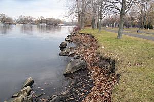 La réhabilitation des berges des grands parcs de l’ile de Montréal soutenue par Ottawa et la Ville. Crédit : Ville de Montréal 