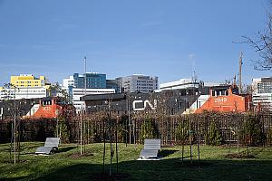 Le parc du Village-Turcot inauguré. Crédit : Annie-Ève Dumontier