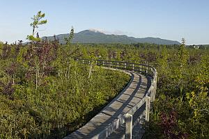 1,5 M$ pour la réfection d’un sentier à Magog