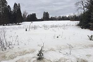 Un terrain visé pour l’école à Sainte-Agathe-des-Monts